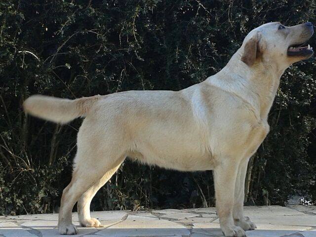 13012634 1137480536303655 2874218797802807128 n