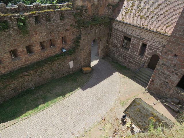 Img 5651
