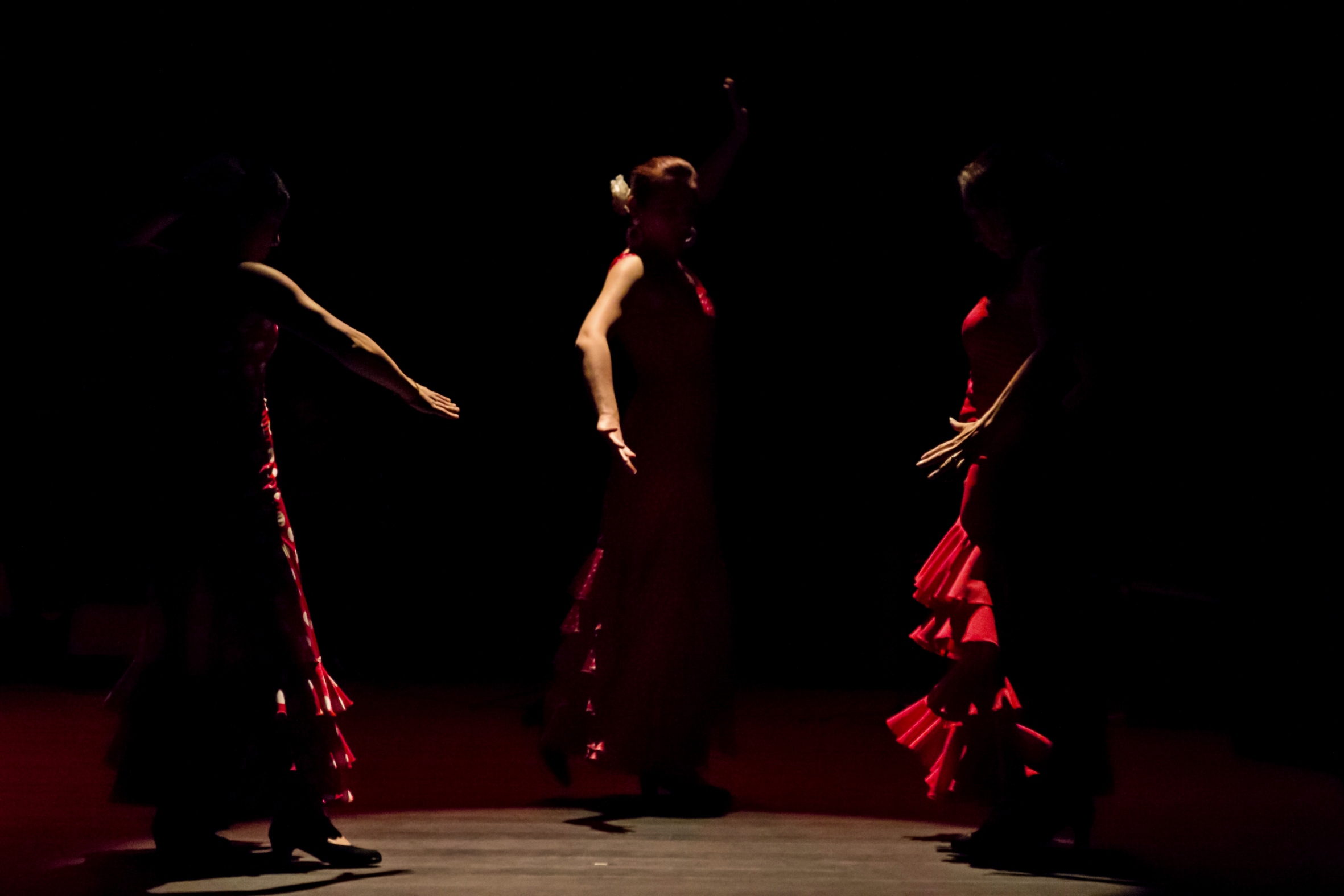 Flamenco 202