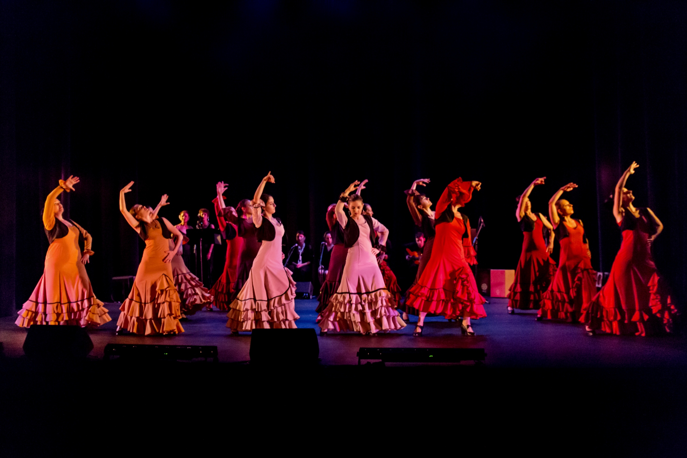 Flamenco 077 copie