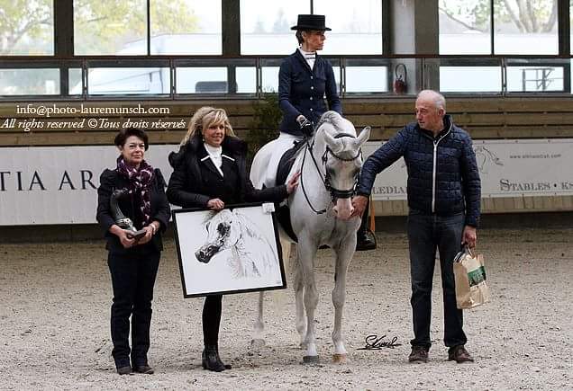 Arnelle Acapulco
(JS Marrak x Platinum Fantasie)
Champion de France - Ridden Class 2015 - Deauville