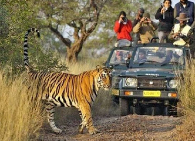 Ratahambore avec bharat kumar chauffeur en inde du nord www chauffeurinde in