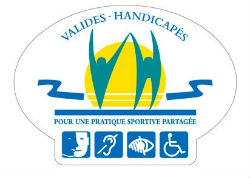 Label handivalide mini