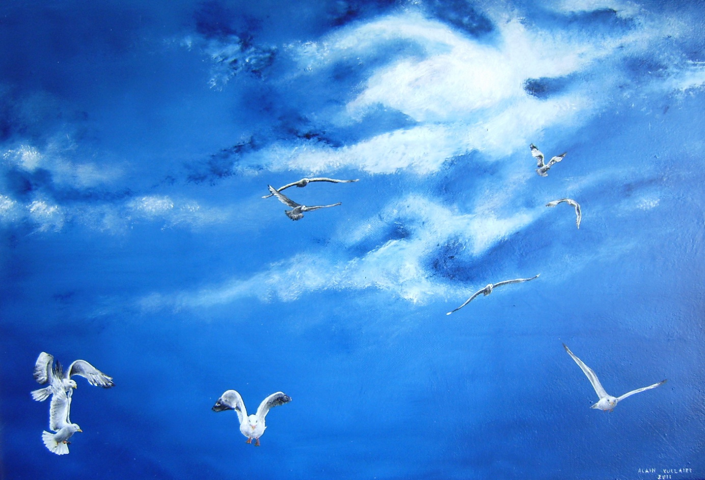 Mouettes