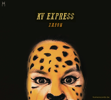 Cover Zafon