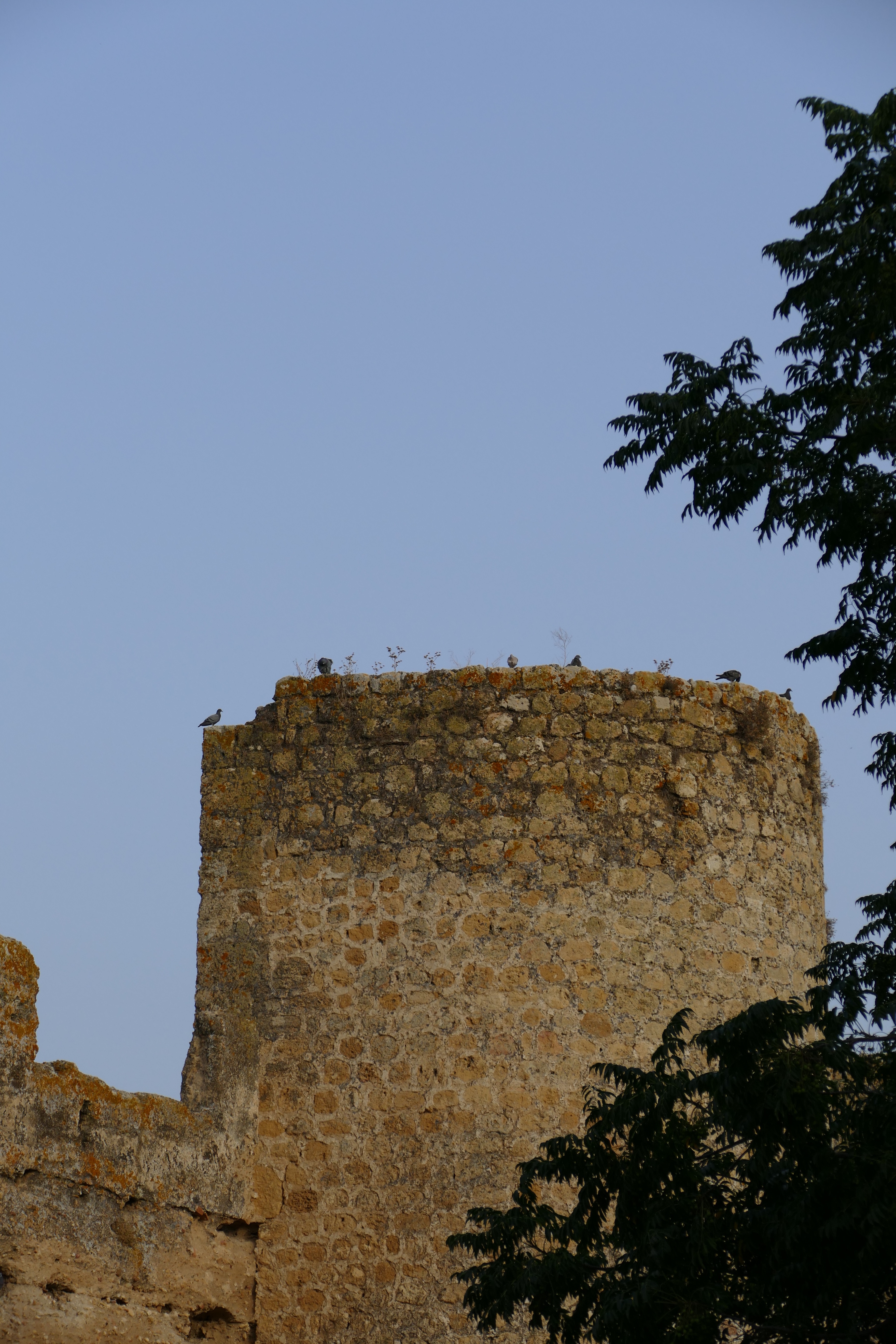 P1010427
