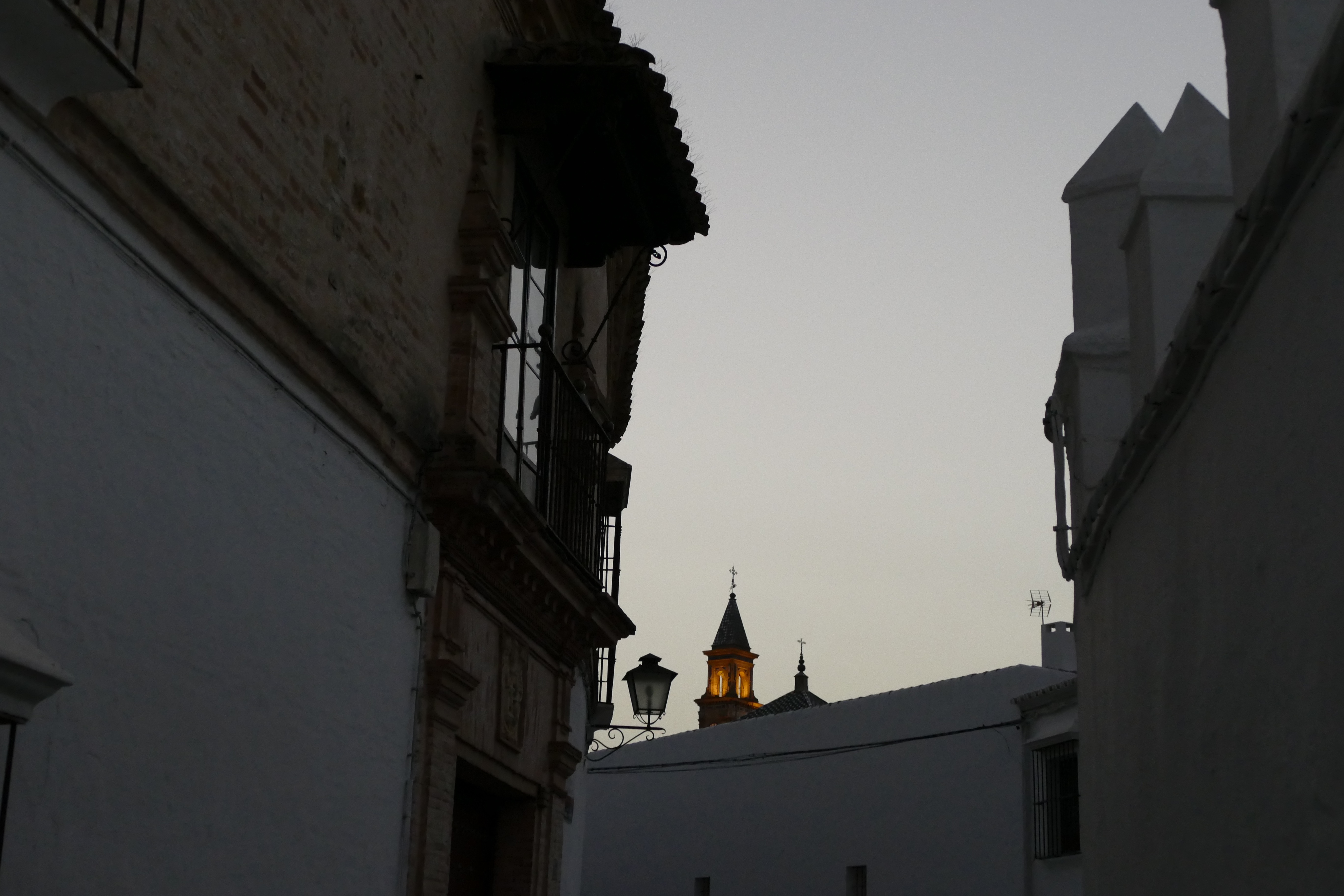 P1010491