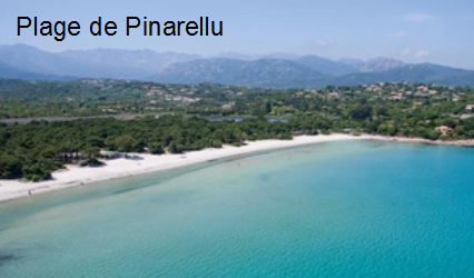 Pinarellu