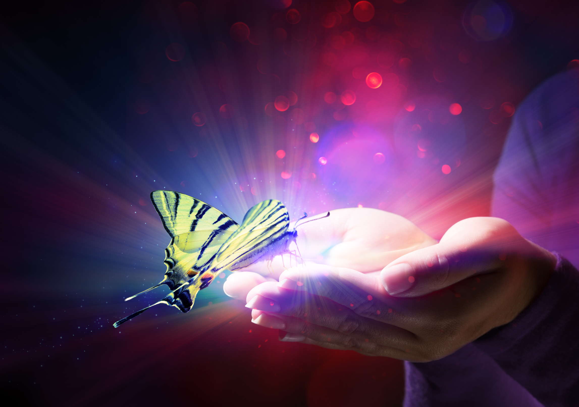 Fotolia 74735068 L