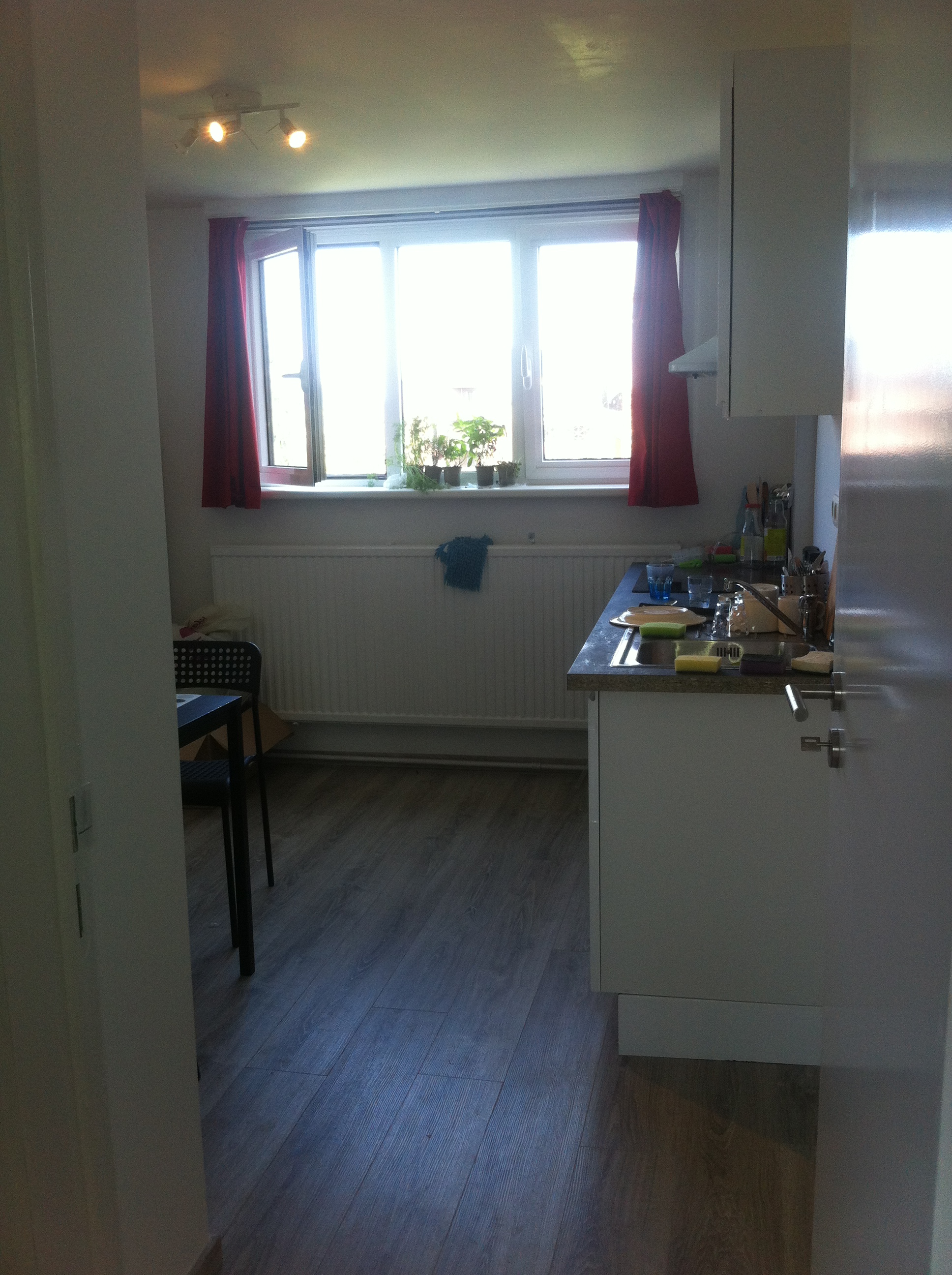 Photo 4