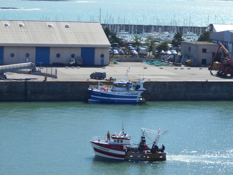 Coquilliers et port de plaisance
