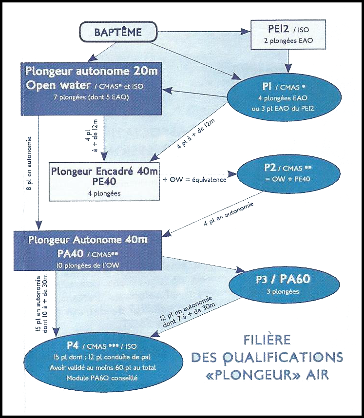 Niveaux fsgt