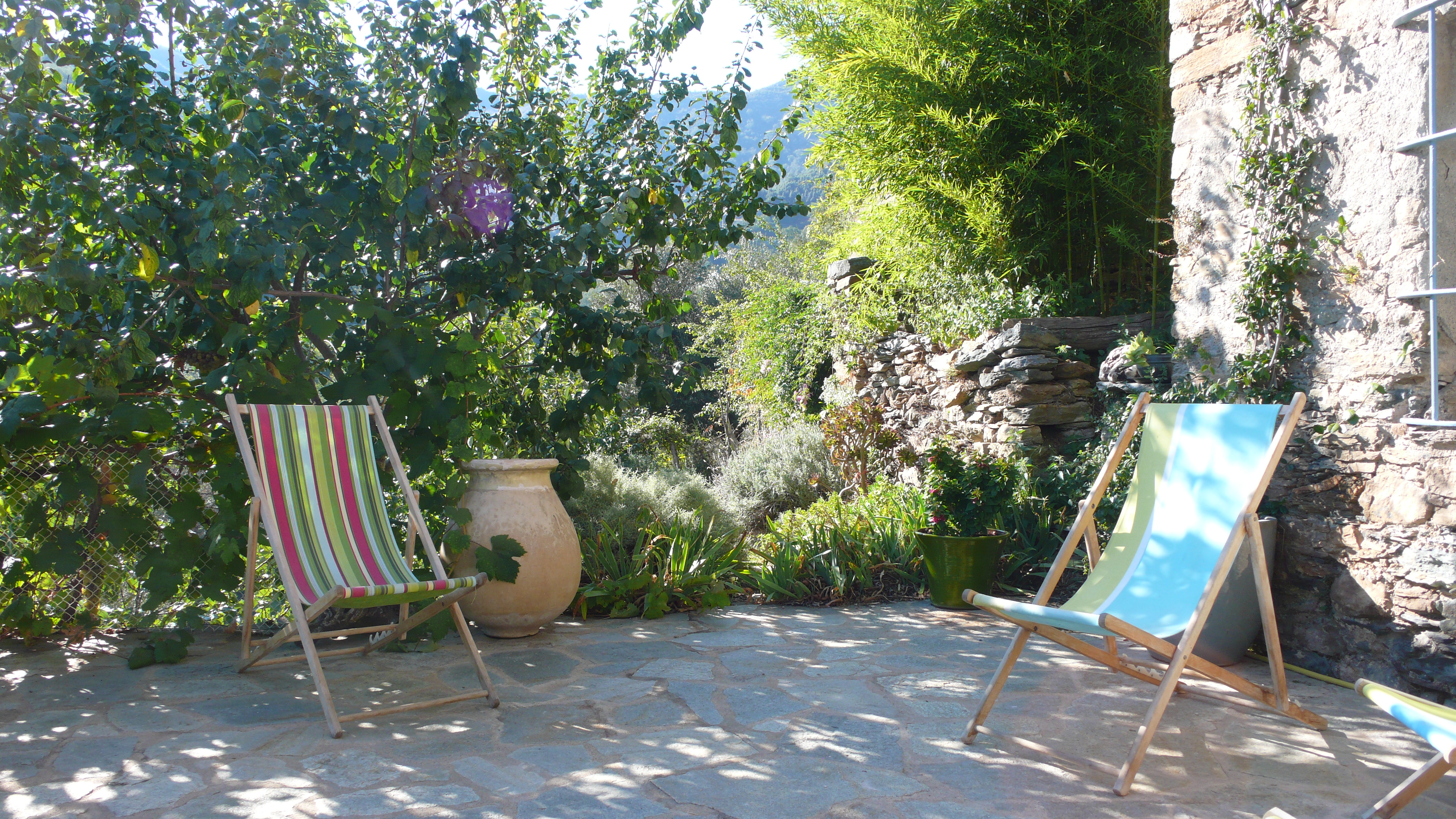 Jardin