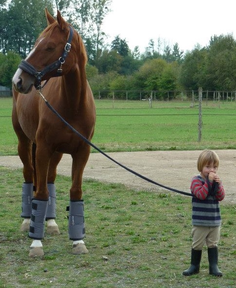 1374061 10151749037021137 550606980 n2