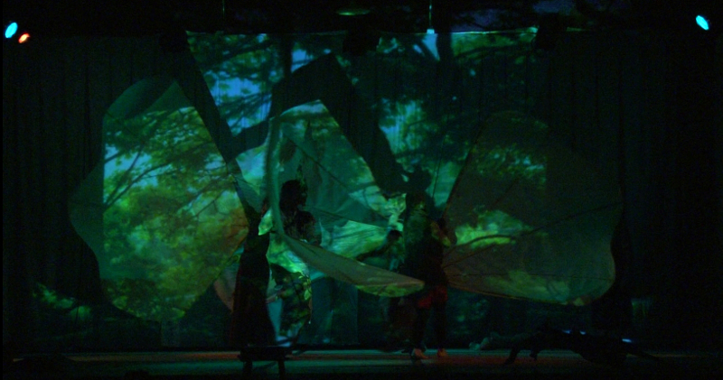 Foret illu 4