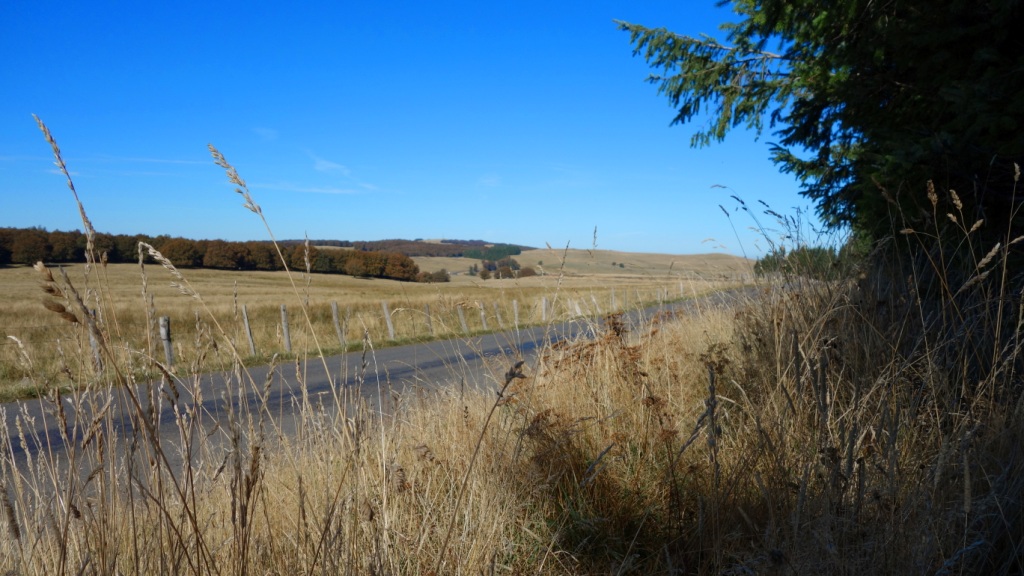 Plateau d aubrac 25r