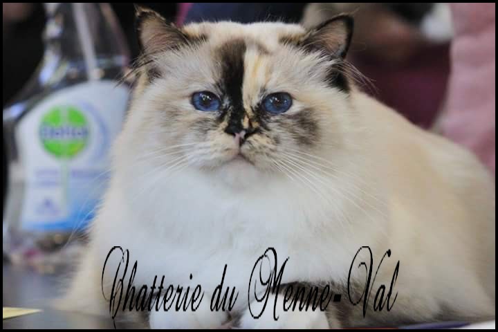 Jantine vincennes 3