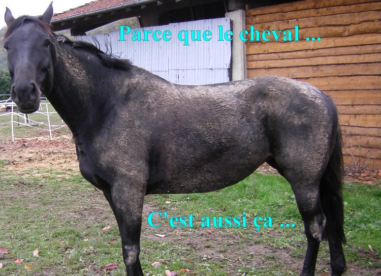 Sans titre 10