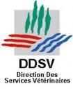 Ddsv