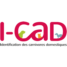 I CAD