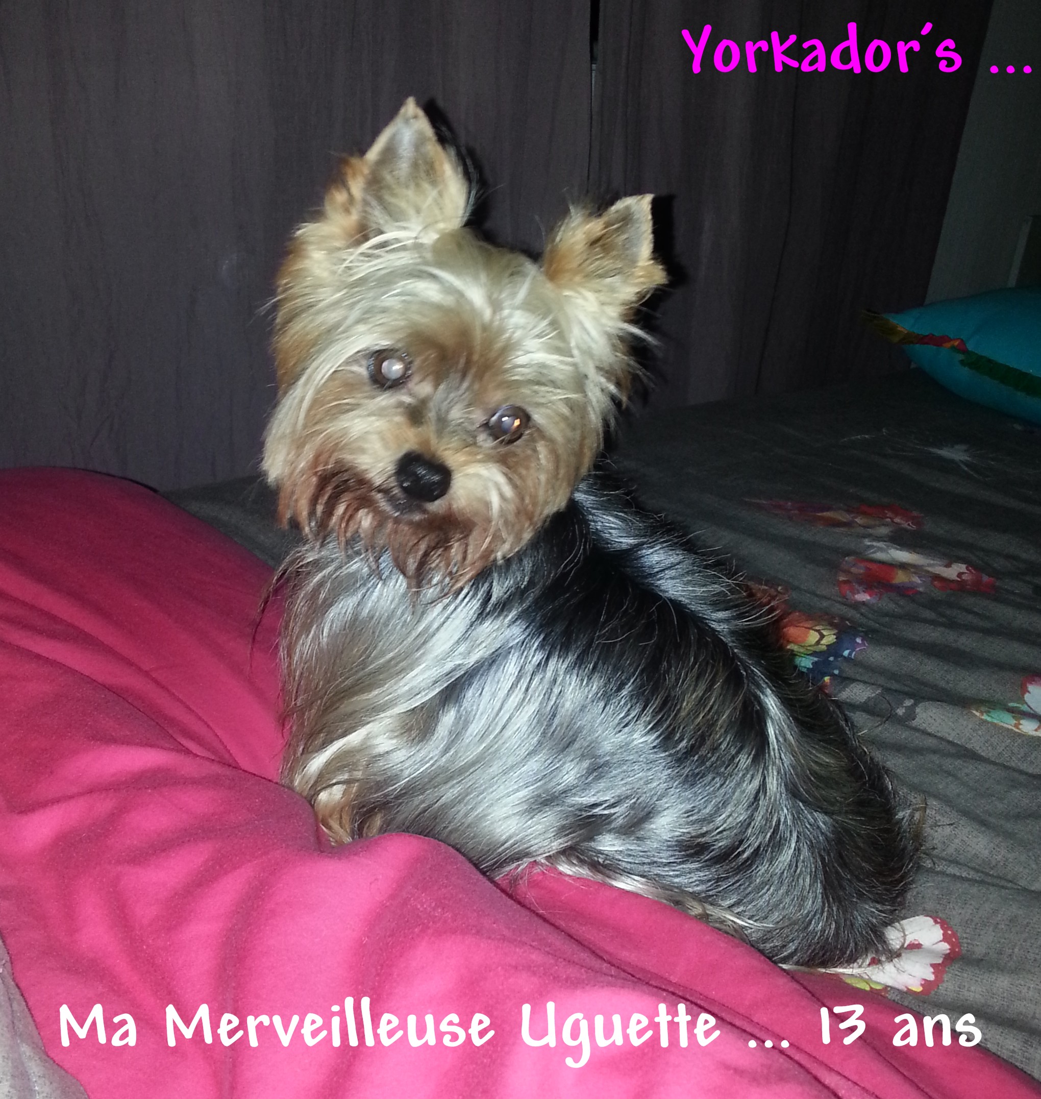 Merveilleuse uguette