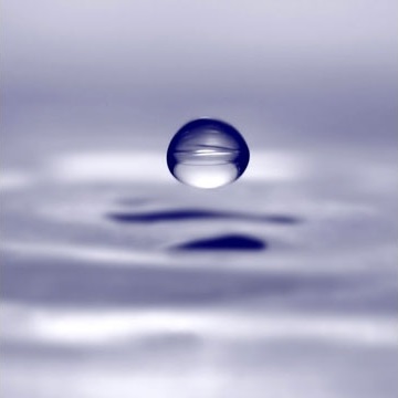 Zen5