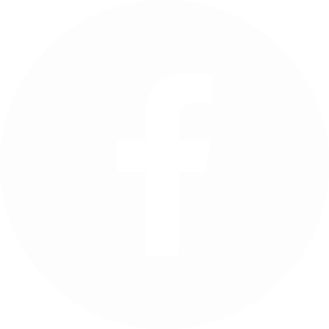 Icone facebook 1