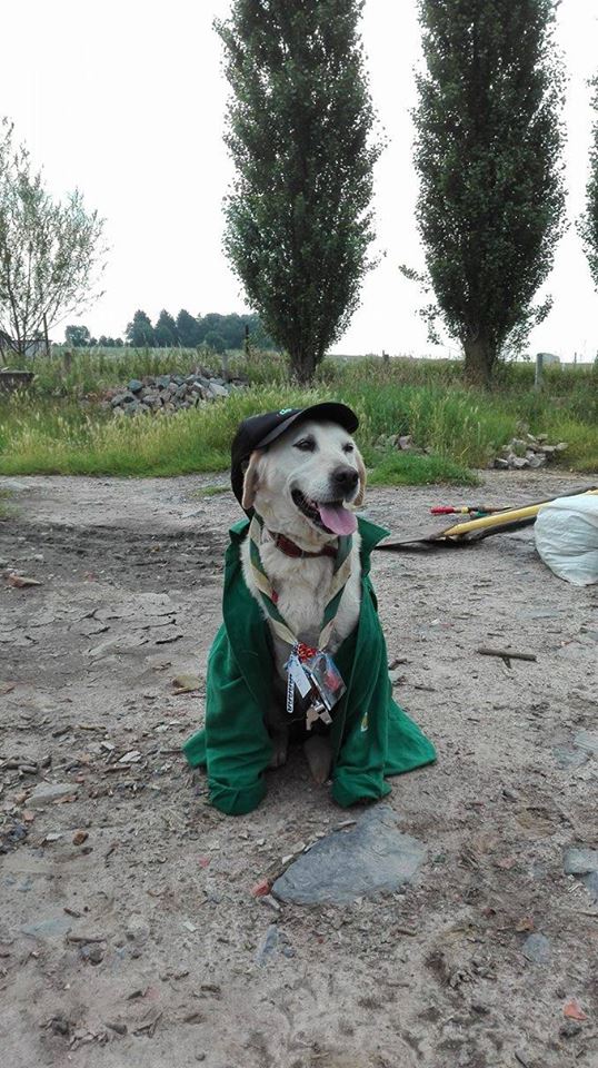 15086899 1786405618285128 297066199 n