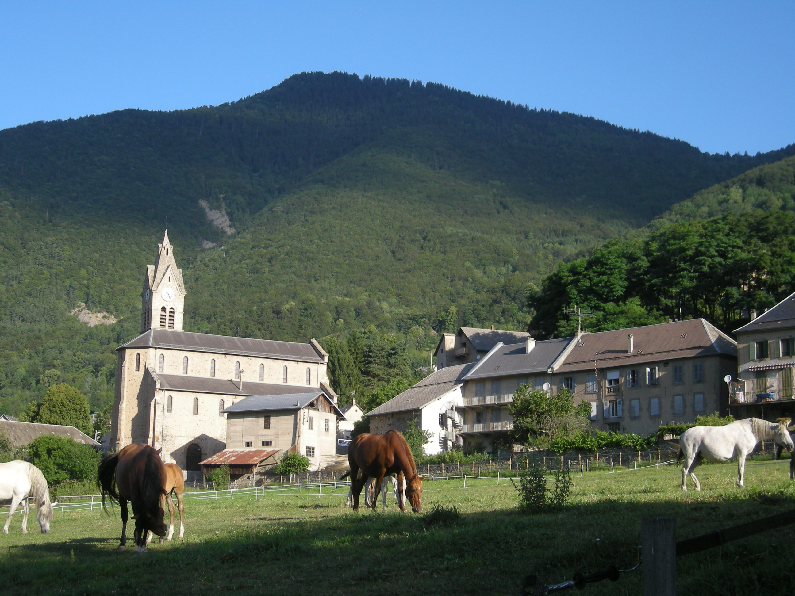 Bourg
