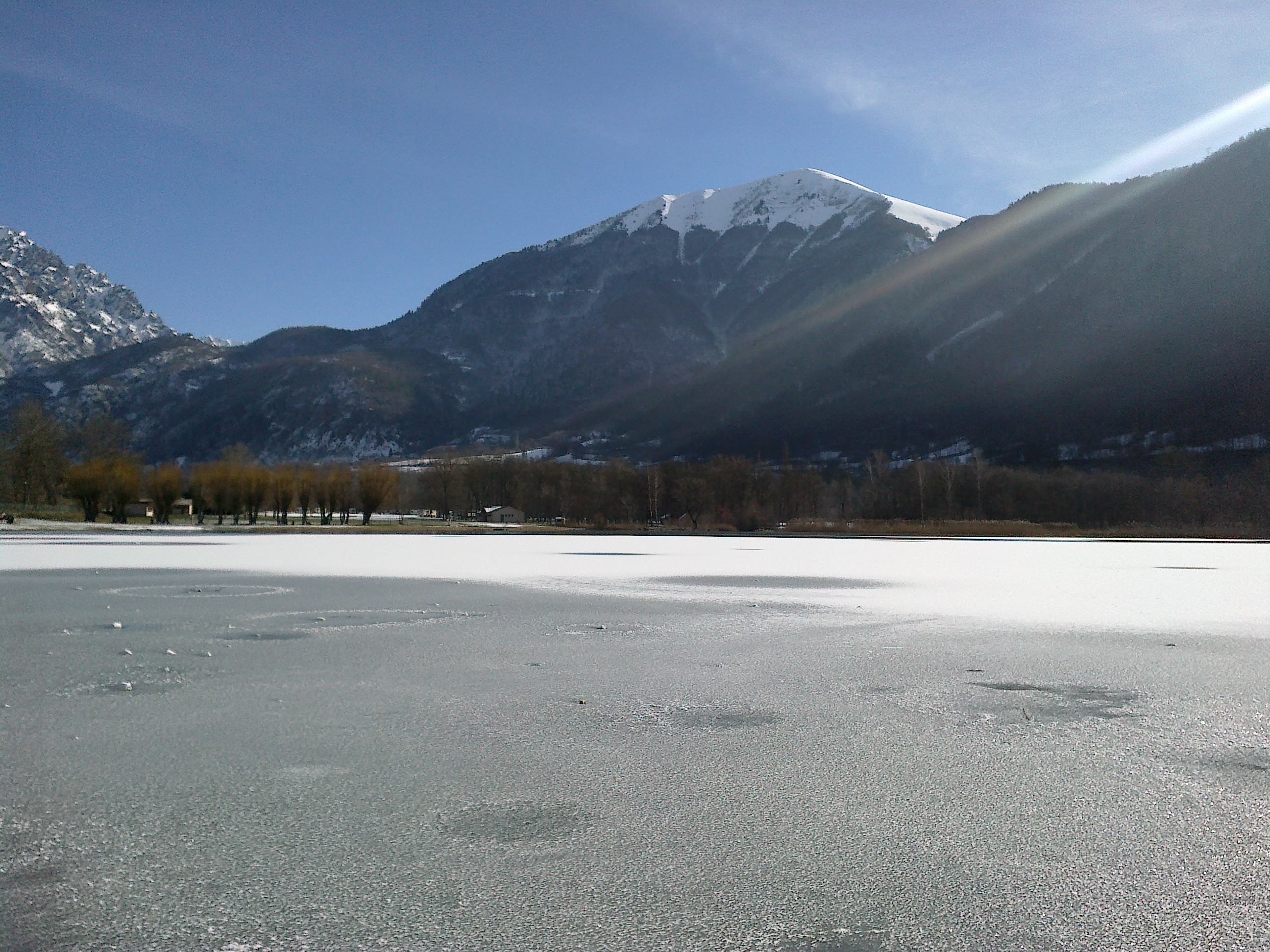 Lac gele