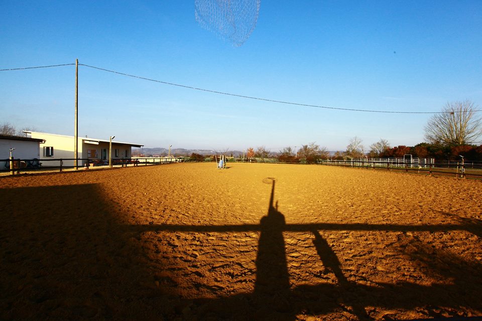 1070 10153812832949494 1340498240223032160 n