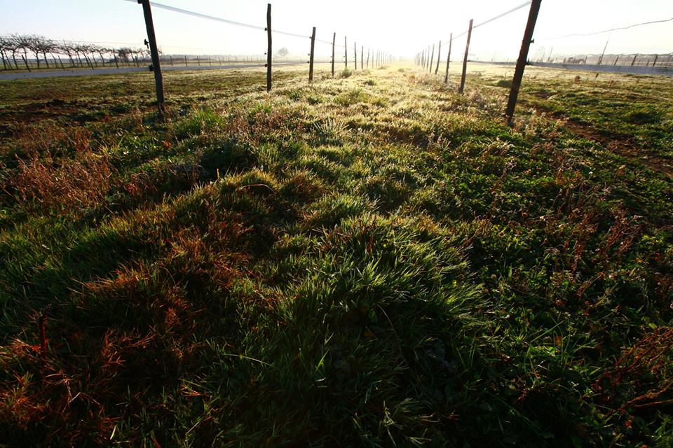 8889 10153812830759494 5751156214282030754 n