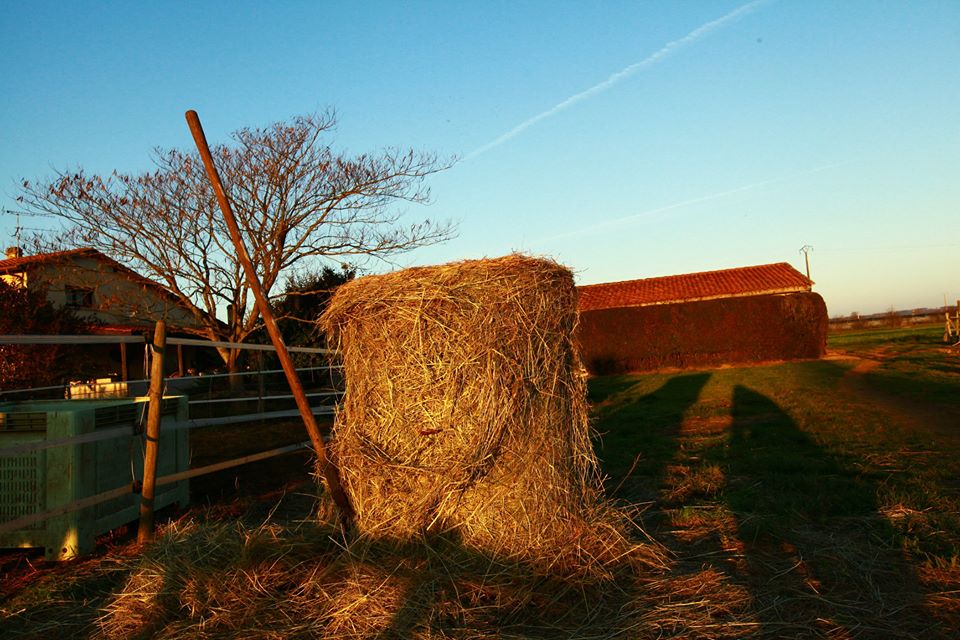 943449 10153812829319494 7595210055773571698 n