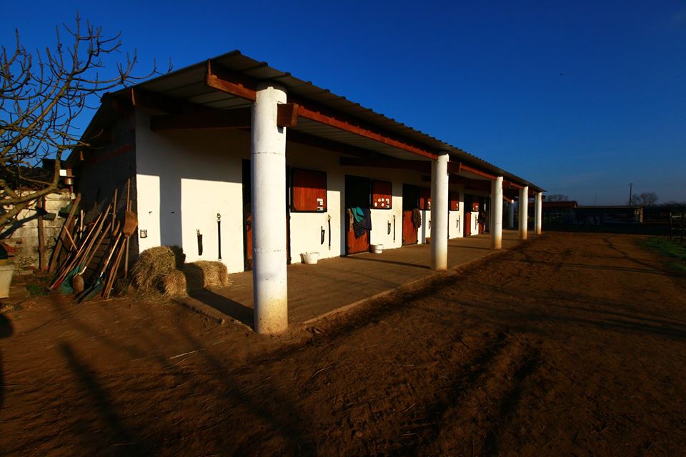 1511726 10153812832059494 7308800335429700916 n