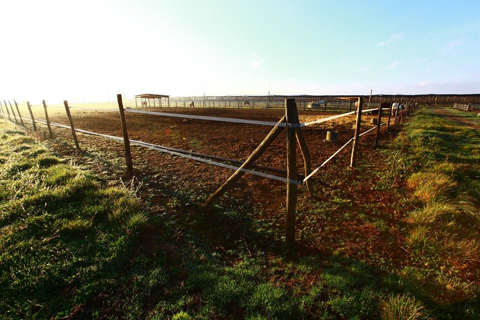 10273955 10153812830744494 7794820126709599831 n