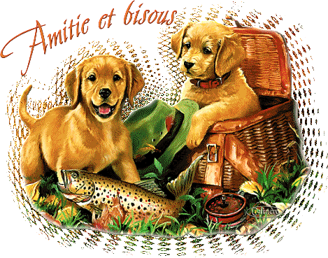 Ob fad45d mdg 1245 9464 78