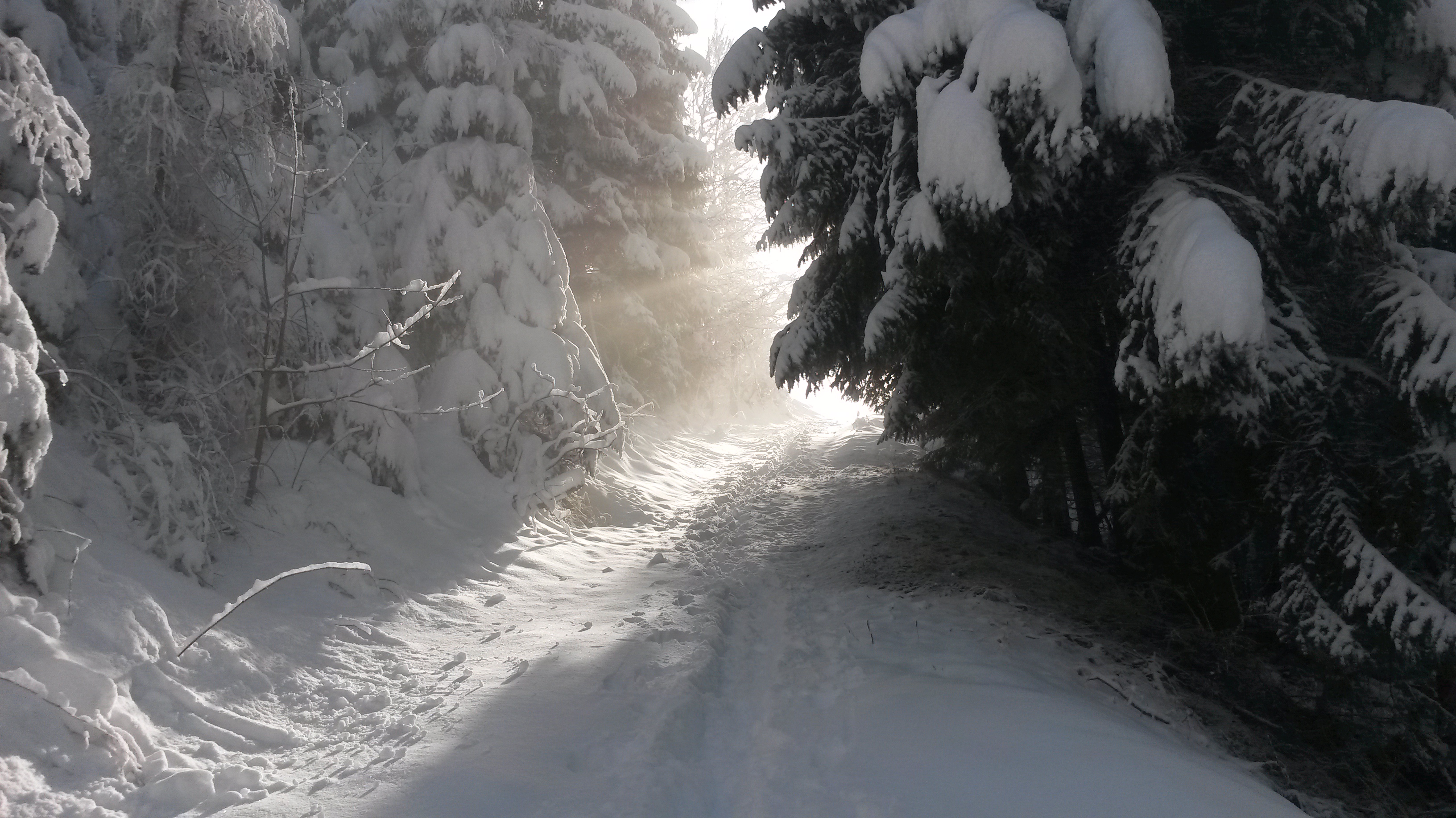Winterlandschaft