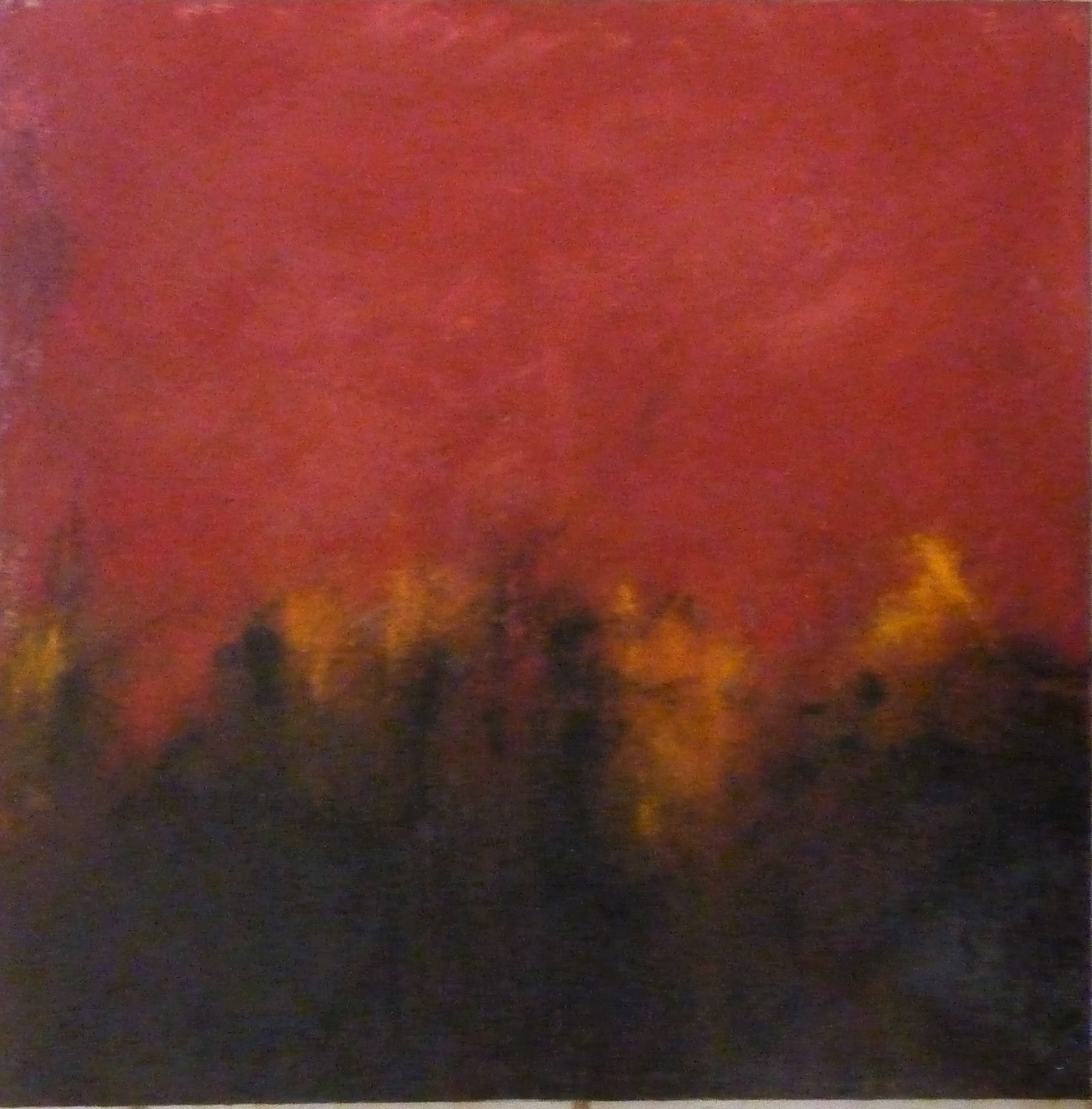 Foret en feu