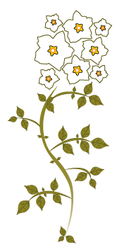 Fleur