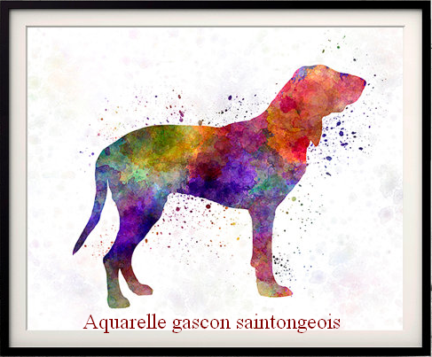 Aquarelle gascon