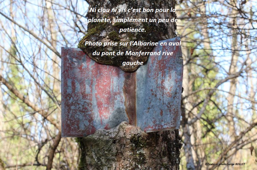 Pancarte albarine
