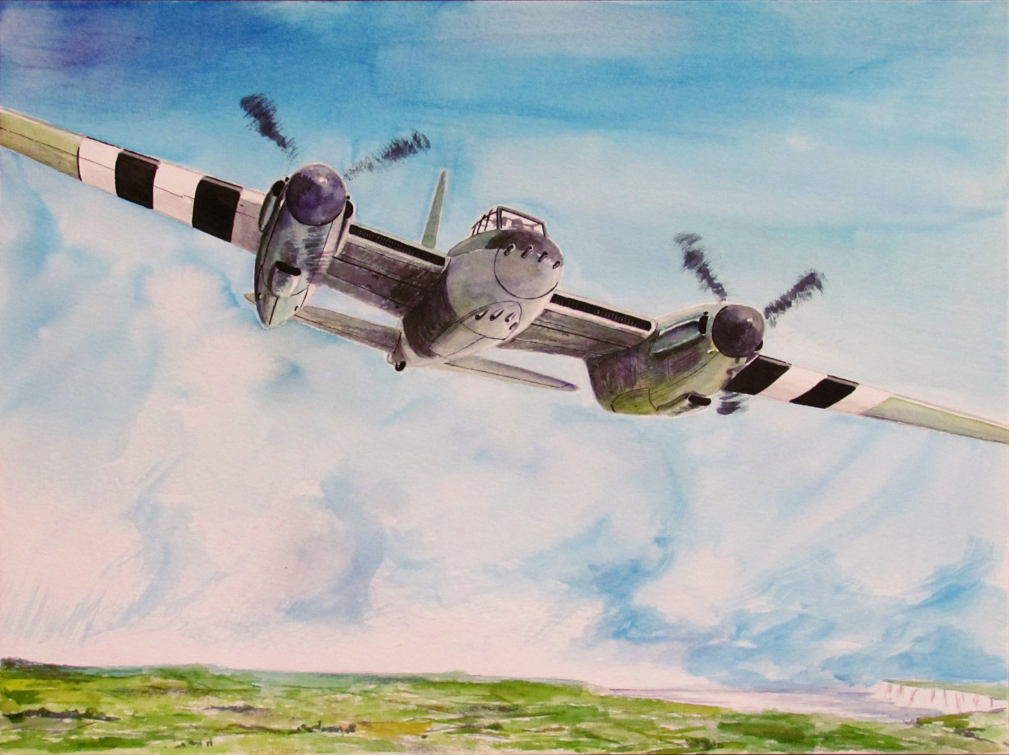 Mosquito fb vi color