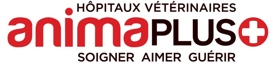 Animaplus