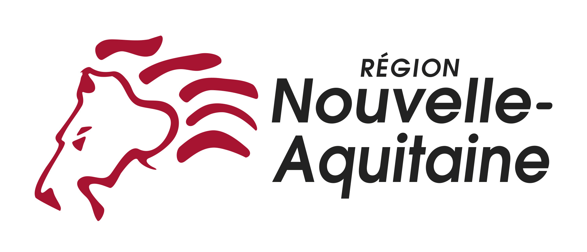Logo NA Horizontal Coul