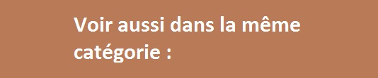 Barre marron meme categorie plombier