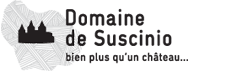Domaine suscinio