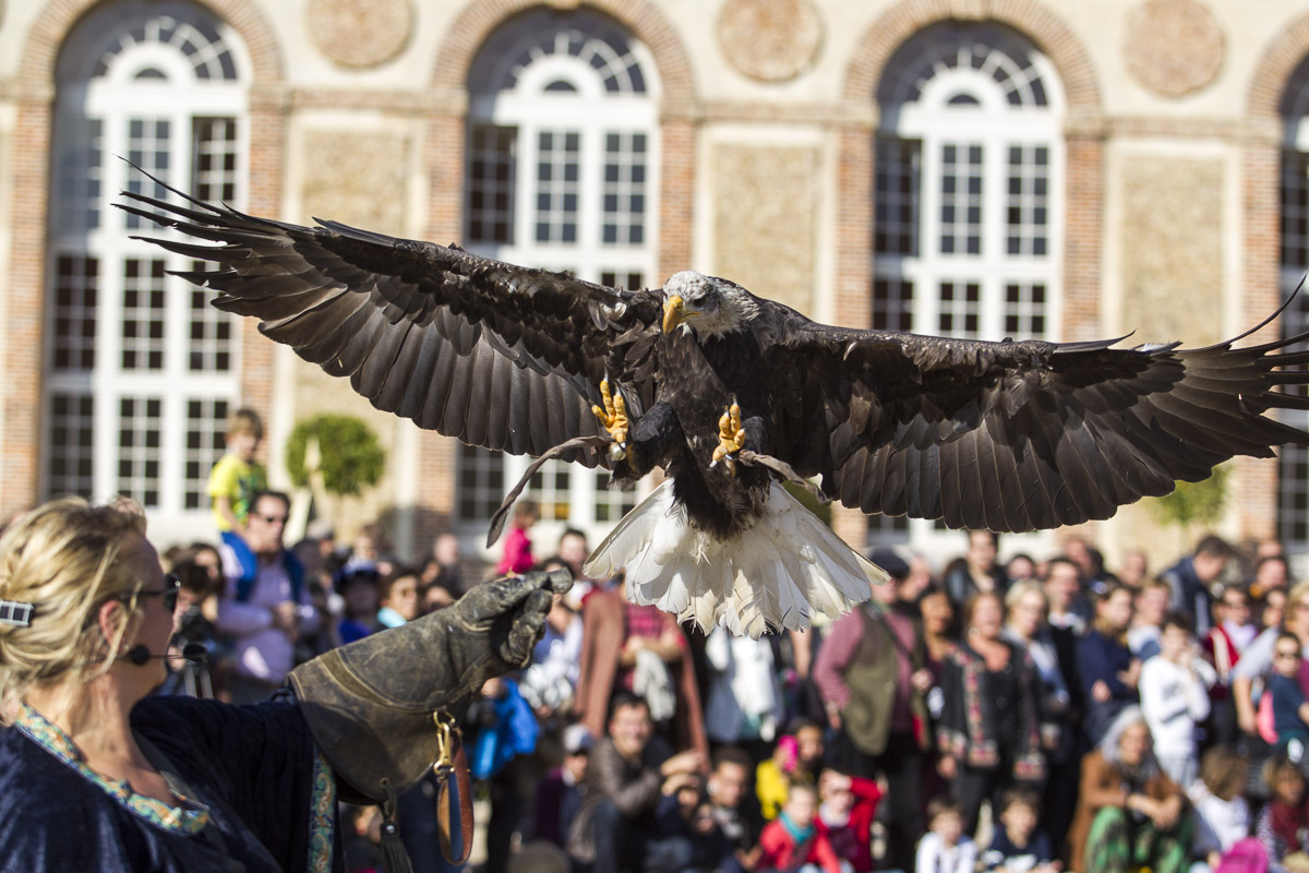 Fete de rabelais 2016 144