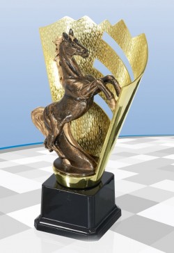 ADHERENTS A L'HONNEUR POUR L' ANNÉE 2016