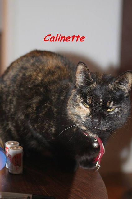 Calinette