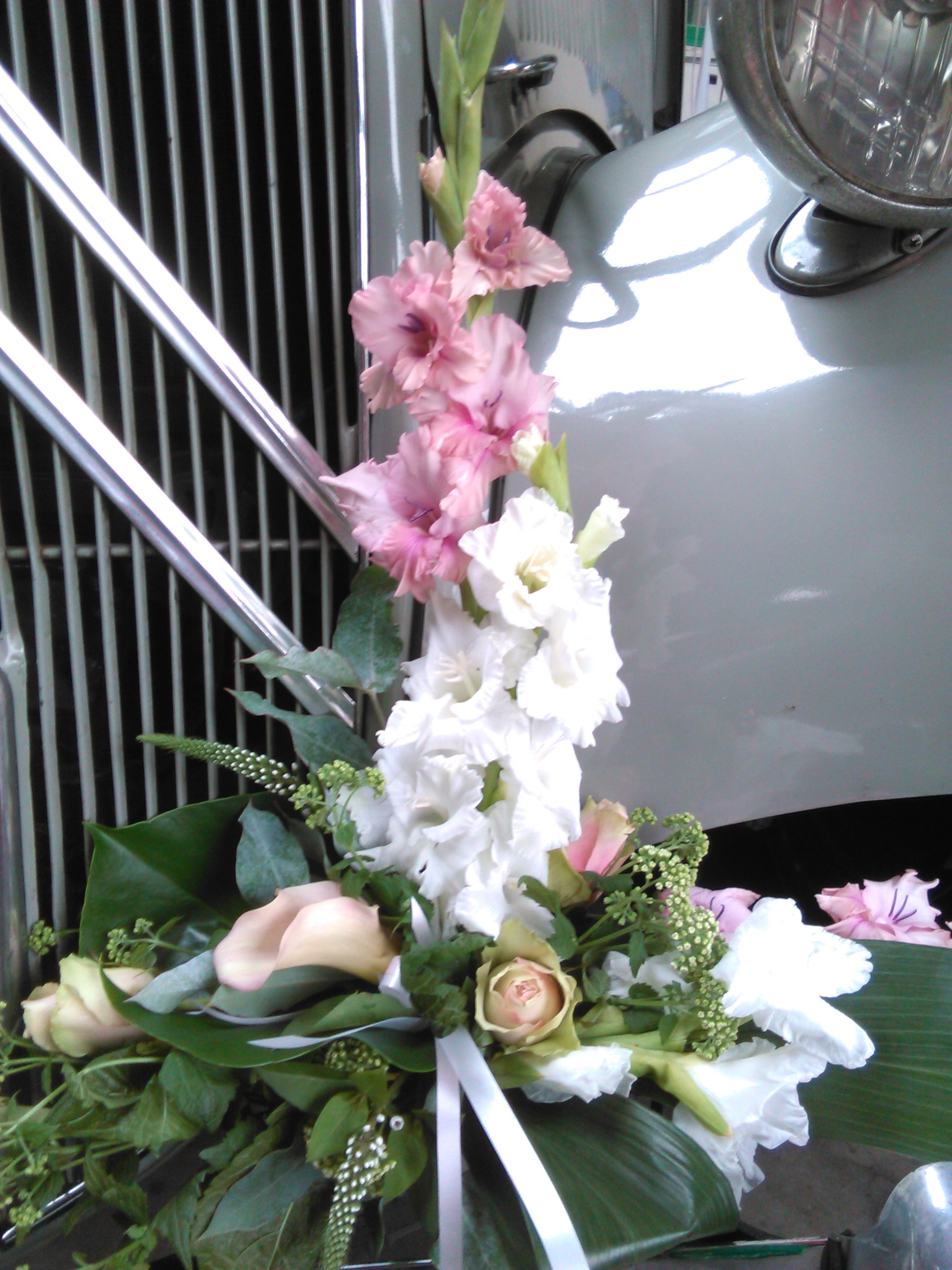IMG 20150725 125012